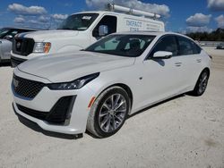 2023 Cadillac CT5 Premium Luxury en venta en Arcadia, FL