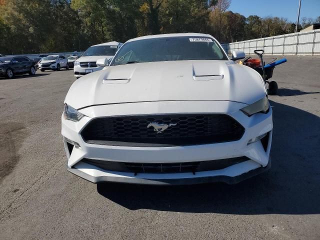 2019 Ford Mustang