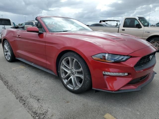 2021 Ford Mustang