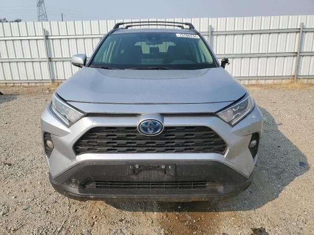 2021 Toyota Rav4 XLE