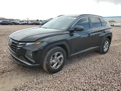 Salvage cars for sale from Copart Phoenix, AZ: 2023 Hyundai Tucson SEL