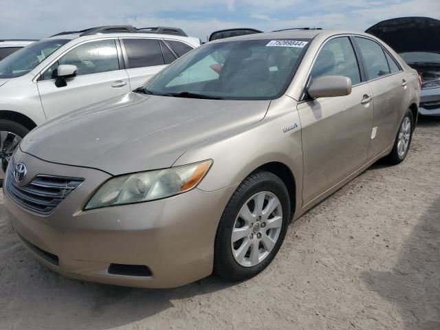 2008 Toyota Camry Hybrid