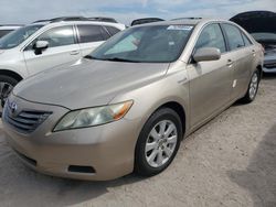 Toyota salvage cars for sale: 2008 Toyota Camry Hybrid