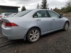 2005 Acura TSX