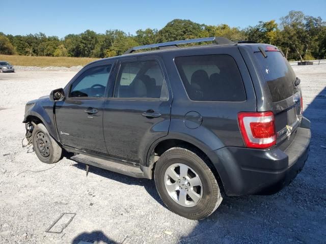 2010 Ford Escape Hybrid