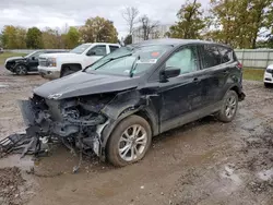 Ford Escape salvage cars for sale: 2019 Ford Escape SE