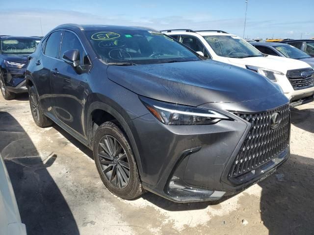 2024 Lexus NX 350H Base