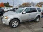 2009 Ford Escape Limited