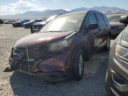 SUV salvage a la venta en subasta: 2014 Honda CR-V EXL