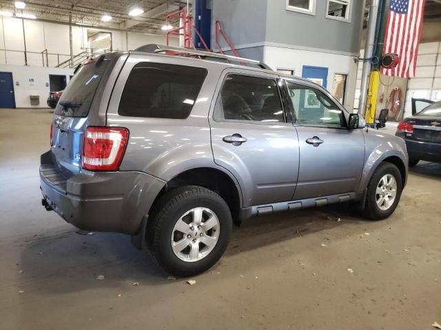 2010 Ford Escape Limited