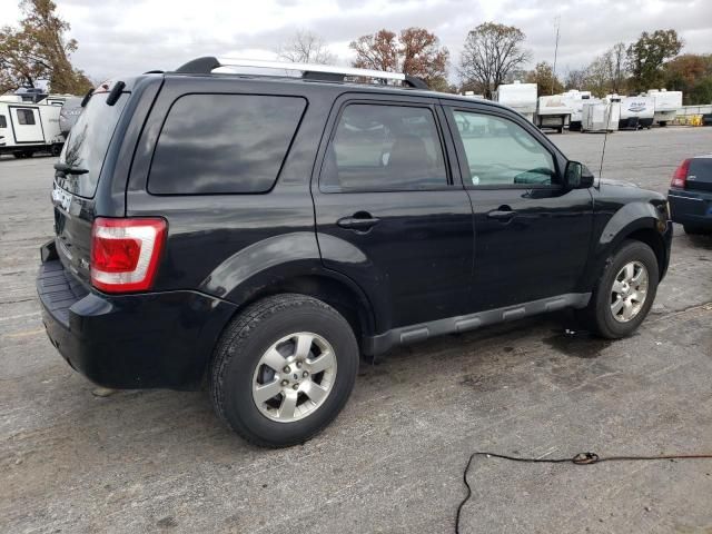 2011 Ford Escape Limited