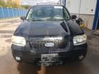 2006 Ford Escape Limited