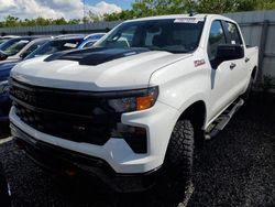 2024 Chevrolet Silverado K1500 Trail Boss Custom en venta en Riverview, FL