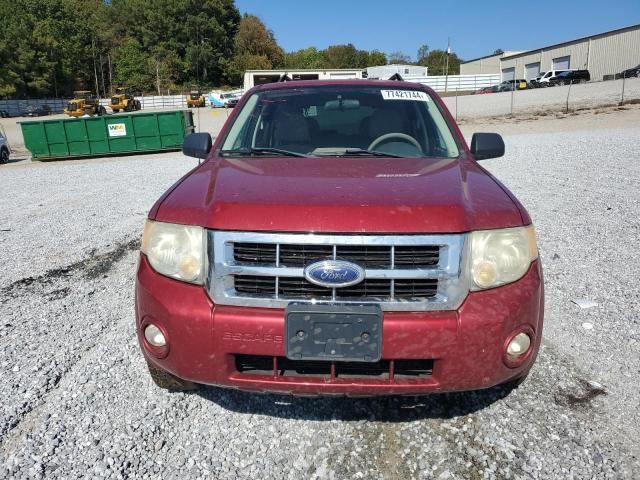 2008 Ford Escape XLT