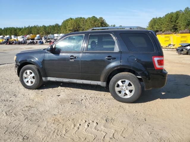 2010 Ford Escape Limited