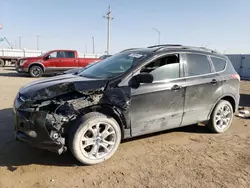 Salvage cars for sale at Greenwood, NE auction: 2013 Ford Escape SE