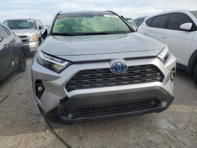 2023 Toyota Rav4 XLE Premium