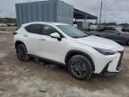 2024 Lexus NX 250 Base