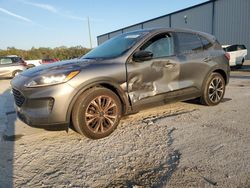 Salvage cars for sale at Apopka, FL auction: 2022 Ford Escape SE