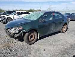 Salvage cars for sale at Ottawa, ON auction: 2016 Toyota Corolla L