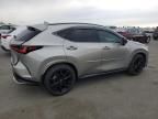 2024 Lexus NX 350 Luxury