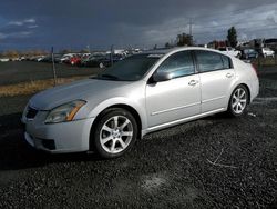 2007 Nissan Maxima SE en venta en Eugene, OR