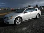 2007 Nissan Maxima SE