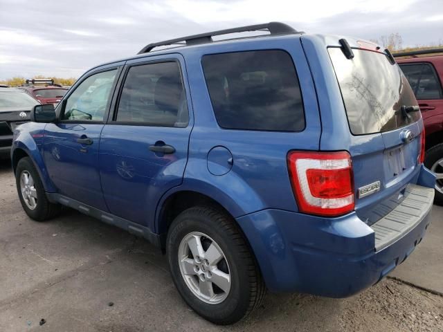 2010 Ford Escape XLT