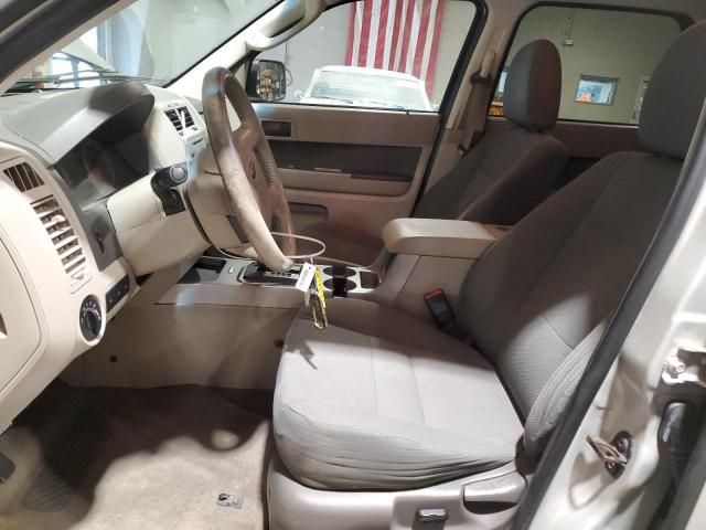 2009 Ford Escape XLT