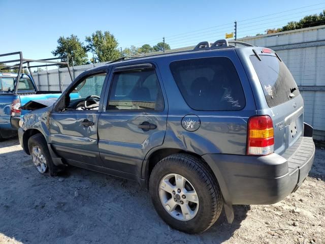 2006 Ford Escape XLT