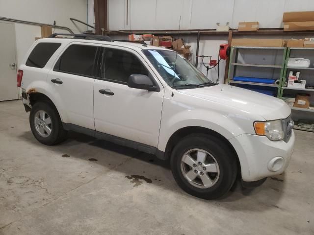 2010 Ford Escape XLT