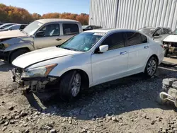 Honda salvage cars for sale: 2011 Honda Accord EXL