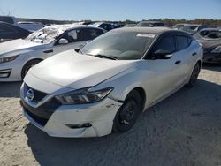 Nissan salvage cars for sale: 2017 Nissan Maxima 3.5S