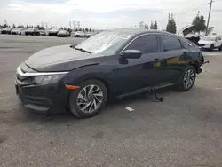 Salvage cars for sale at Rancho Cucamonga, CA auction: 2016 Honda Civic EX