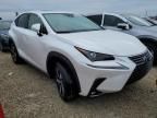 2020 Lexus NX 300