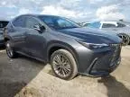 2022 Lexus NX 350H