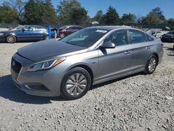 Salvage cars for sale at Madisonville, TN auction: 2017 Hyundai Sonata Hybrid