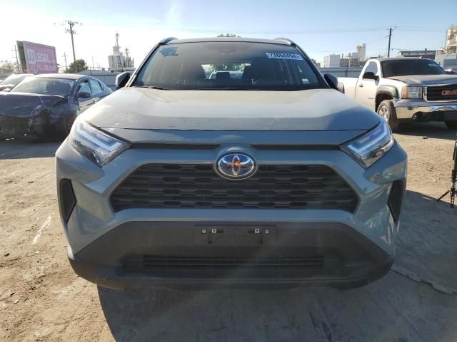 2023 Toyota Rav4 XLE