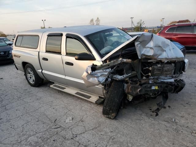 2007 Dodge Dakota Quattro