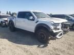 2017 Ford F150 Raptor