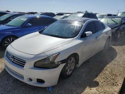 Salvage cars for sale from Copart Arcadia, FL: 2012 Nissan Maxima S