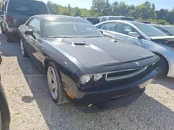 Dodge Challenger salvage cars for sale: 2009 Dodge Challenger SRT-8