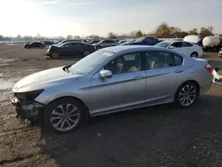 Honda salvage cars for sale: 2013 Honda Accord Sport