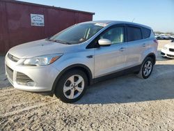 Ford salvage cars for sale: 2016 Ford Escape SE