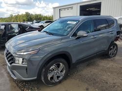 Salvage cars for sale at Montgomery, AL auction: 2023 Hyundai Santa FE SEL