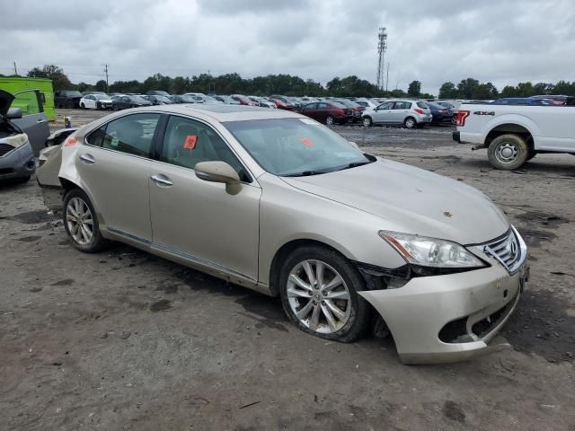 2010 Lexus ES 350