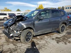 Salvage cars for sale at Littleton, CO auction: 2023 Subaru Forester Wilderness