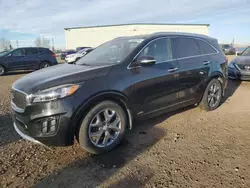 KIA Sorento salvage cars for sale: 2016 KIA Sorento SX