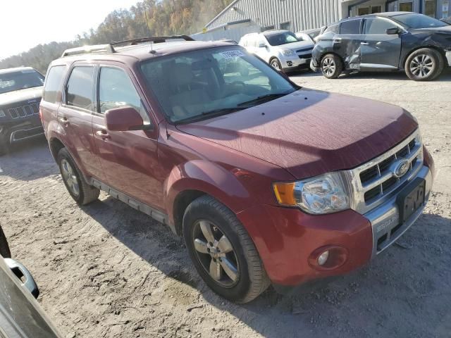 2009 Ford Escape Limited