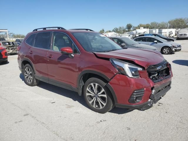 2024 Subaru Forester Limited